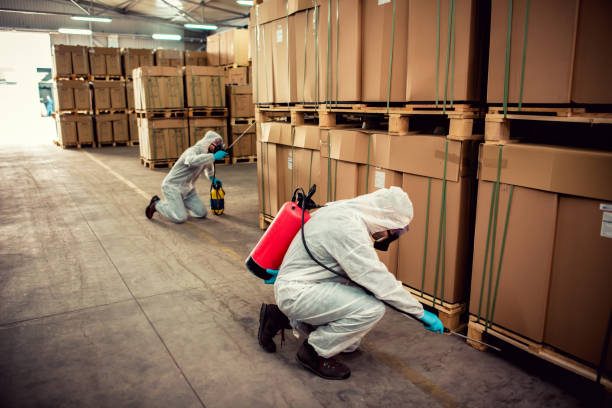 Best Emergency Pest Control  in North Charleston, SC
