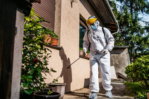 Best Best Pest Control Companies  in North Charleston, SC
