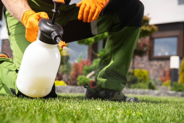 Best Insect Control  in North Charleston, SC