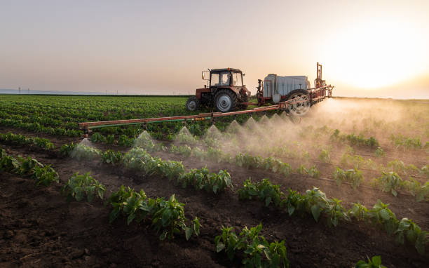 Best Commercial Pest Control Services  in North Charleston, SC