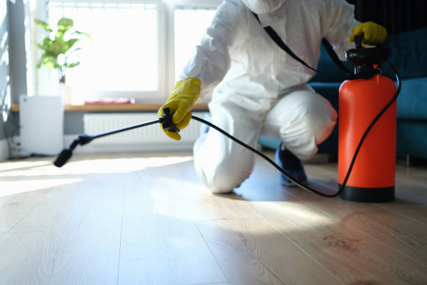 Reliable North Charleston, SC Pest Control Solutions