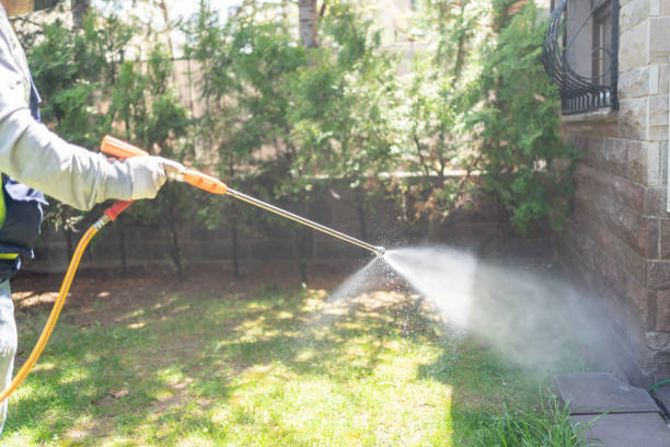 Best Rat Extermination Near Me  in North Charleston, SC