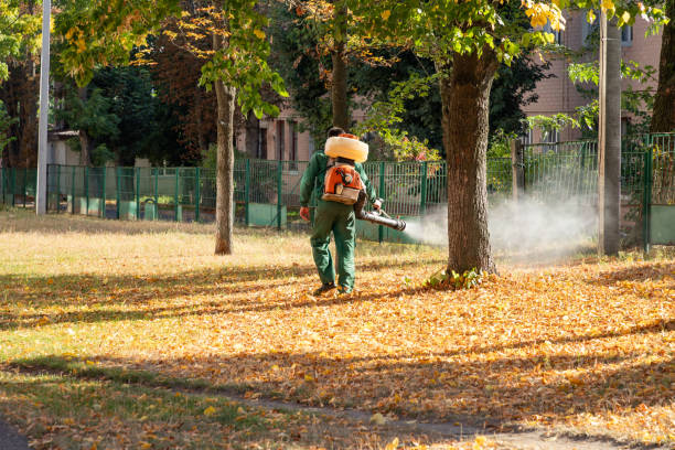 Best Residential Pest Control  in North Charleston, SC