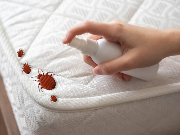 Best Pest Control Near Me  in North Charleston, SC
